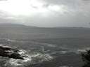 ./images/koeye/fitz-hugh/20141012/fitz-hugh20141012_114503.jpg