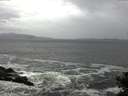 ./images/koeye/fitz-hugh/20141012/fitz-hugh20141012_120003.jpg