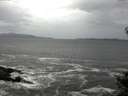 ./images/koeye/fitz-hugh/20141012/fitz-hugh20141012_121002.jpg