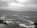 ./images/koeye/fitz-hugh/20141012/fitz-hugh20141012_125502.jpg
