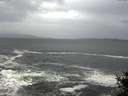 ./images/koeye/fitz-hugh/20141012/fitz-hugh20141012_130501.jpg