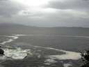 ./images/koeye/fitz-hugh/20141012/fitz-hugh20141012_131502.jpg