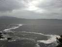 ./images/koeye/fitz-hugh/20141012/fitz-hugh20141012_132001.jpg