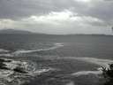 ./images/koeye/fitz-hugh/20141012/fitz-hugh20141012_132501.jpg