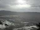 ./images/koeye/fitz-hugh/20141012/fitz-hugh20141012_134001.jpg