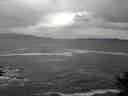 ./images/koeye/fitz-hugh/20141012/fitz-hugh20141012_135002.jpg