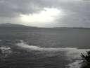 ./images/koeye/fitz-hugh/20141012/fitz-hugh20141012_145002.jpg