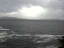 ./images/koeye/fitz-hugh/20141012/fitz-hugh20141012_151003.jpg