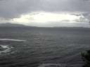 ./images/koeye/fitz-hugh/20141012/fitz-hugh20141012_154501.jpg