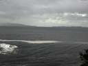 ./images/koeye/fitz-hugh/20141012/fitz-hugh20141012_155502.jpg