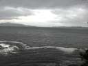 ./images/koeye/fitz-hugh/20141012/fitz-hugh20141012_162502.jpg