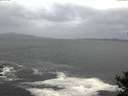 ./images/koeye/fitz-hugh/20141012/fitz-hugh20141012_175002.jpg