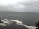./images/koeye/fitz-hugh/20141012/fitz-hugh20141012_181001.jpg