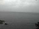 ./images/koeye/fitz-hugh/20141013/fitz-hugh20141013_072503.jpg