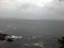 ./images/koeye/fitz-hugh/20141013/fitz-hugh20141013_075502.jpg