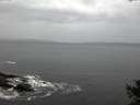 ./images/koeye/fitz-hugh/20141013/fitz-hugh20141013_081002.jpg