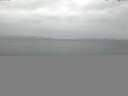 ./images/koeye/fitz-hugh/20141013/fitz-hugh20141013_082002.jpg