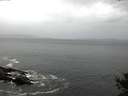 ./images/koeye/fitz-hugh/20141013/fitz-hugh20141013_084501.jpg