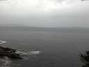 ./images/koeye/fitz-hugh/20141013/fitz-hugh20141013_085002.jpg