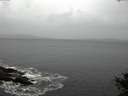 ./images/koeye/fitz-hugh/20141013/fitz-hugh20141013_085502.jpg
