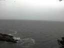 ./images/koeye/fitz-hugh/20141013/fitz-hugh20141013_094003.jpg
