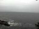 ./images/koeye/fitz-hugh/20141013/fitz-hugh20141013_094502.jpg
