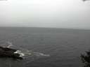 ./images/koeye/fitz-hugh/20141013/fitz-hugh20141013_100503.jpg