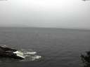 ./images/koeye/fitz-hugh/20141013/fitz-hugh20141013_101502.jpg