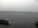./images/koeye/fitz-hugh/20141013/fitz-hugh20141013_102002.jpg
