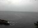 ./images/koeye/fitz-hugh/20141013/fitz-hugh20141013_104003.jpg