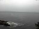 ./images/koeye/fitz-hugh/20141013/fitz-hugh20141013_104503.jpg
