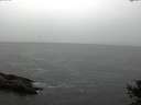 ./images/koeye/fitz-hugh/20141013/fitz-hugh20141013_105001.jpg