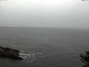 ./images/koeye/fitz-hugh/20141013/fitz-hugh20141013_105501.jpg
