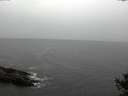 ./images/koeye/fitz-hugh/20141013/fitz-hugh20141013_110501.jpg