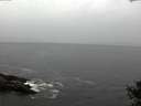 ./images/koeye/fitz-hugh/20141013/fitz-hugh20141013_111002.jpg