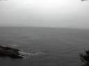 ./images/koeye/fitz-hugh/20141013/fitz-hugh20141013_114001.jpg