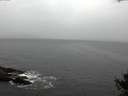 ./images/koeye/fitz-hugh/20141013/fitz-hugh20141013_121503.jpg