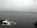 ./images/koeye/fitz-hugh/20141013/fitz-hugh20141013_122003.jpg
