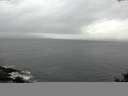./images/koeye/fitz-hugh/20141013/fitz-hugh20141013_124003.jpg