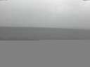 ./images/koeye/fitz-hugh/20141013/fitz-hugh20141013_133501.jpg