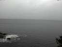 ./images/koeye/fitz-hugh/20141013/fitz-hugh20141013_134501.jpg