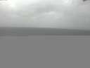 ./images/koeye/fitz-hugh/20141013/fitz-hugh20141013_140502.jpg