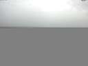 ./images/koeye/fitz-hugh/20141013/fitz-hugh20141013_142002.jpg