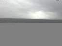 ./images/koeye/fitz-hugh/20141013/fitz-hugh20141013_144502.jpg