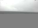 ./images/koeye/fitz-hugh/20141013/fitz-hugh20141013_145002.jpg