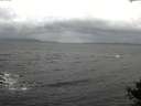 ./images/koeye/fitz-hugh/20141013/fitz-hugh20141013_150503.jpg