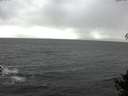 ./images/koeye/fitz-hugh/20141013/fitz-hugh20141013_151502.jpg