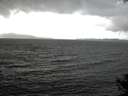 ./images/koeye/fitz-hugh/20141013/fitz-hugh20141013_152503.jpg