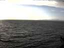 ./images/koeye/fitz-hugh/20141013/fitz-hugh20141013_154502.jpg