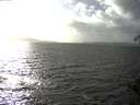 ./images/koeye/fitz-hugh/20141013/fitz-hugh20141013_160502.jpg